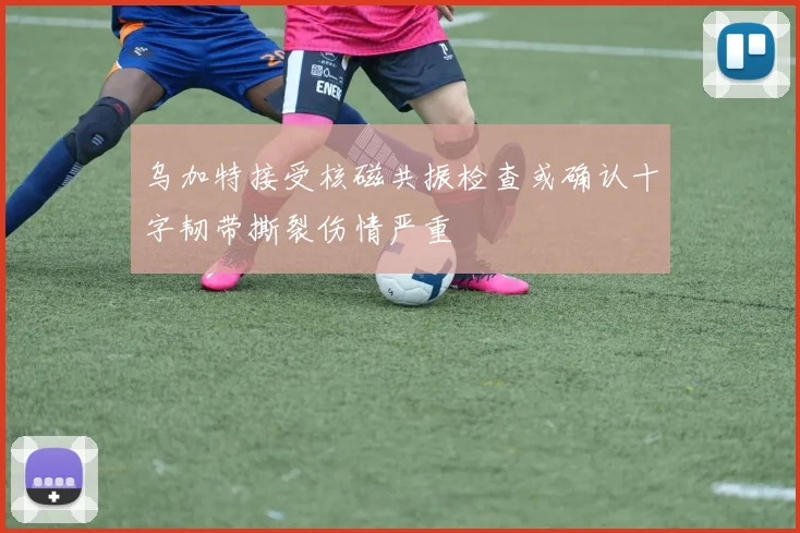 乌加特接受核磁共振检查或确认十字韧带撕裂伤情严重