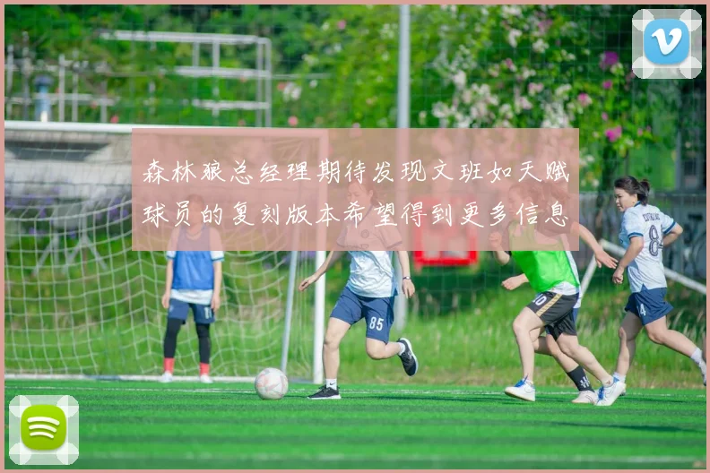 森林狼总经理期待发现文班如天赋球员的复刻版本希望得到更多信息